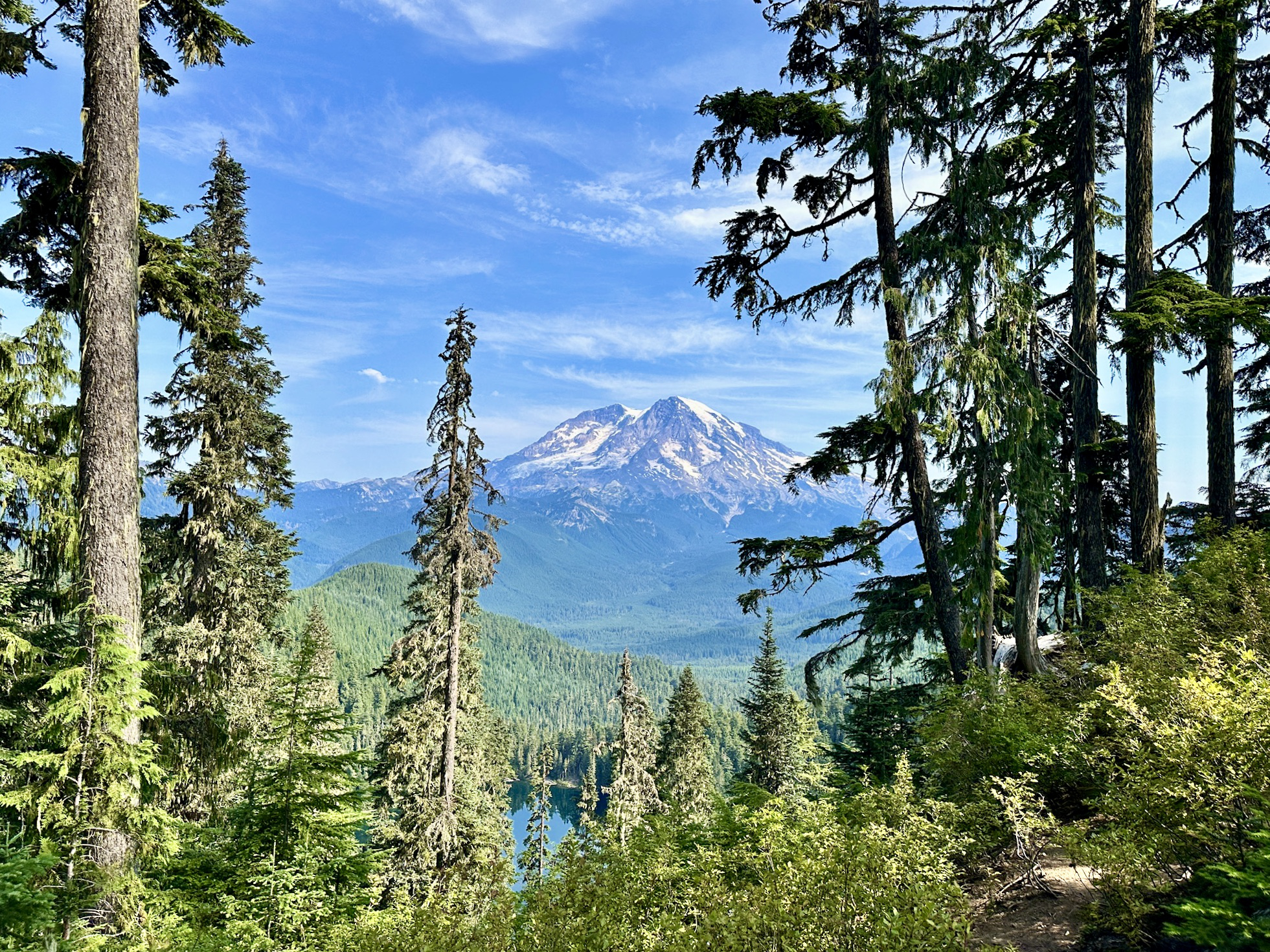Ultimate 6-Day Washington Itinerary: Exploring Olympic and Mt. Rainier National Parks