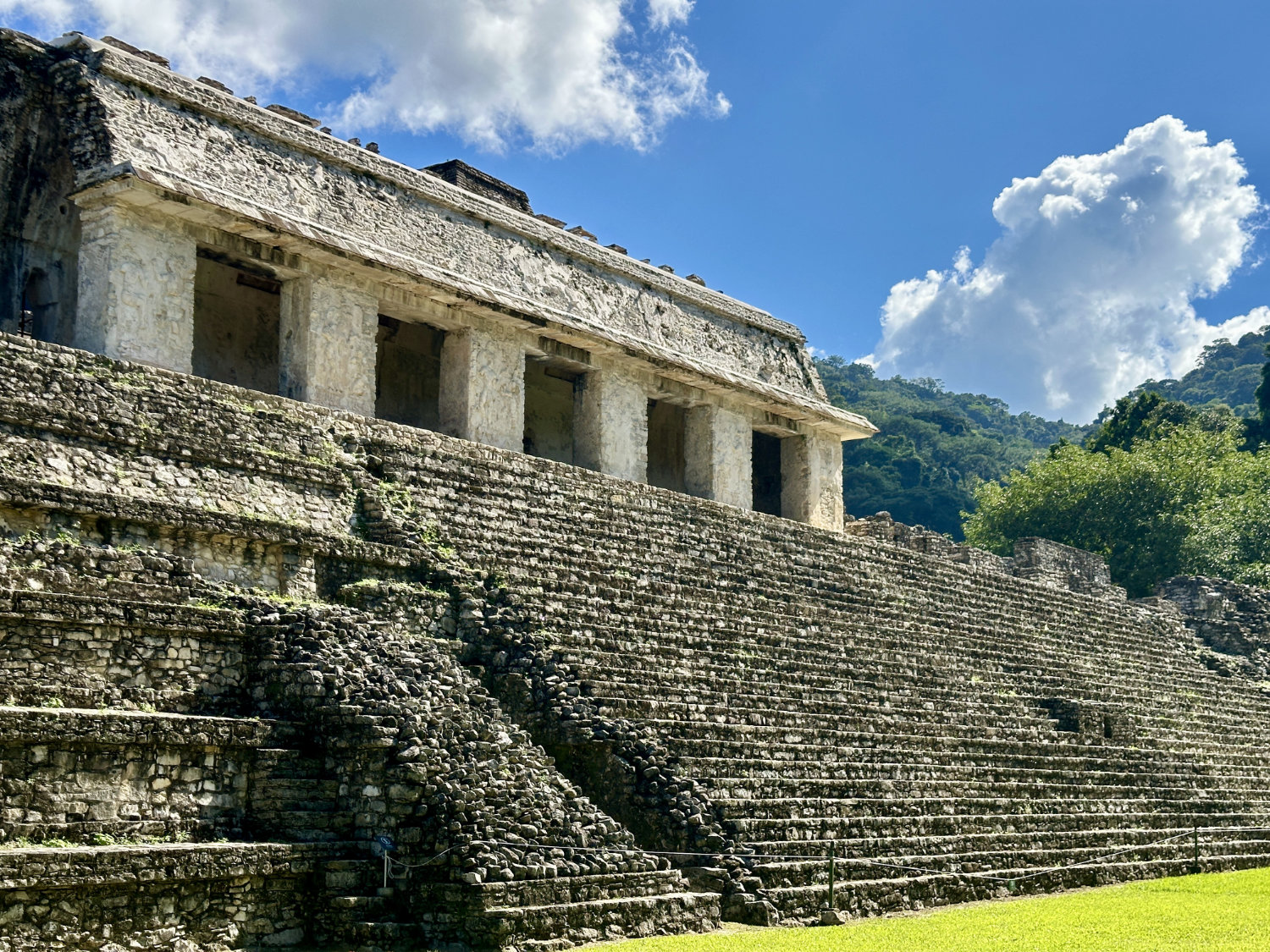 Lower terrace view of the Palace complex showing Maya architectural details