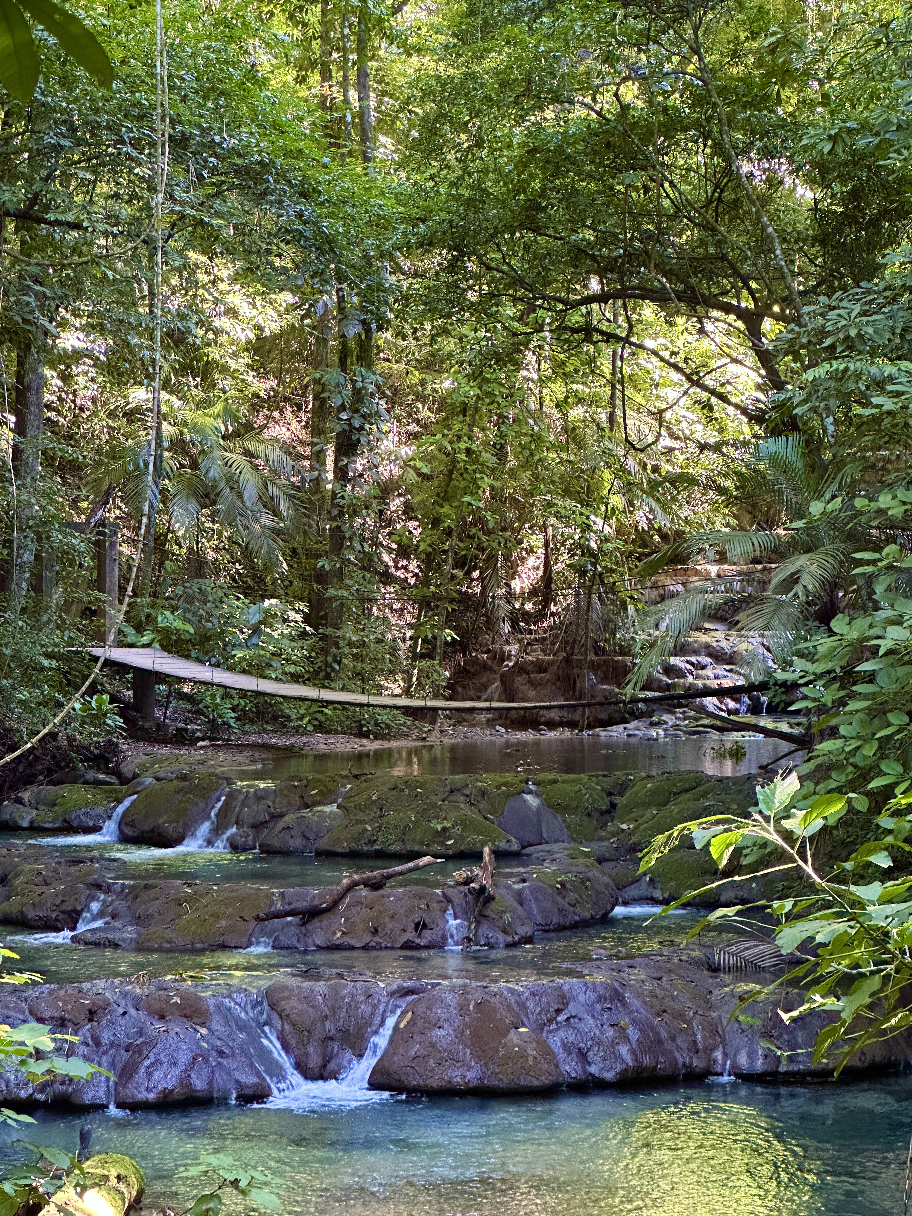 Hanging bridge over stream with waterfalls on museum trail